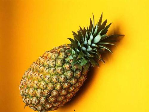 娱乐吃瓜小菠萝小说