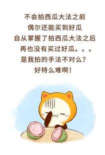 娱乐吃瓜酱拒绝精神,揭秘轻松生活之道
